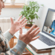 old woman on a telemedicine appointment with her doctor via zoom