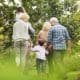 a group of people walking through a lush green forest
