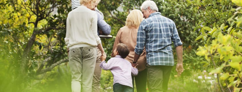 a group of people walking through a lush green forest